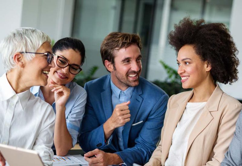 8 0 1 EXPERT VIEW CATEGORY